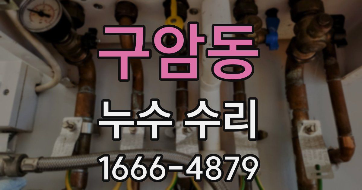 구암동 누수 수리