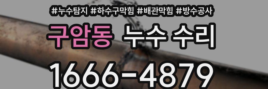 구암동 누수 수리