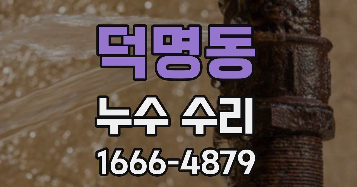 덕명동 누수 수리