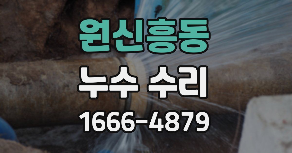 원신흥동 누수 수리