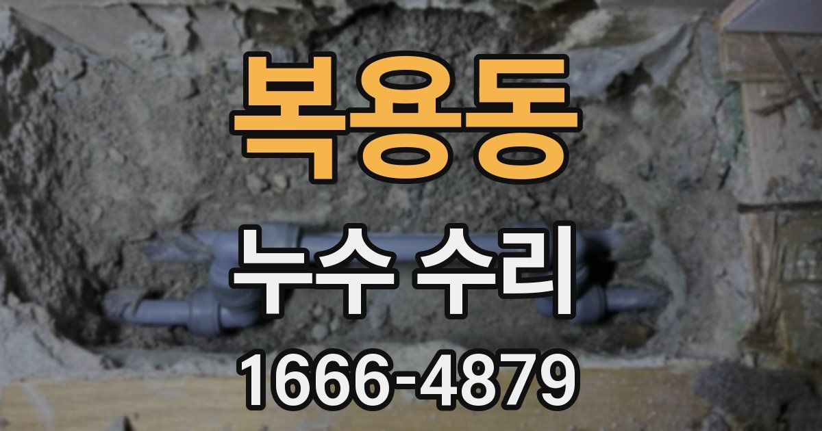 복용동 누수 수리
