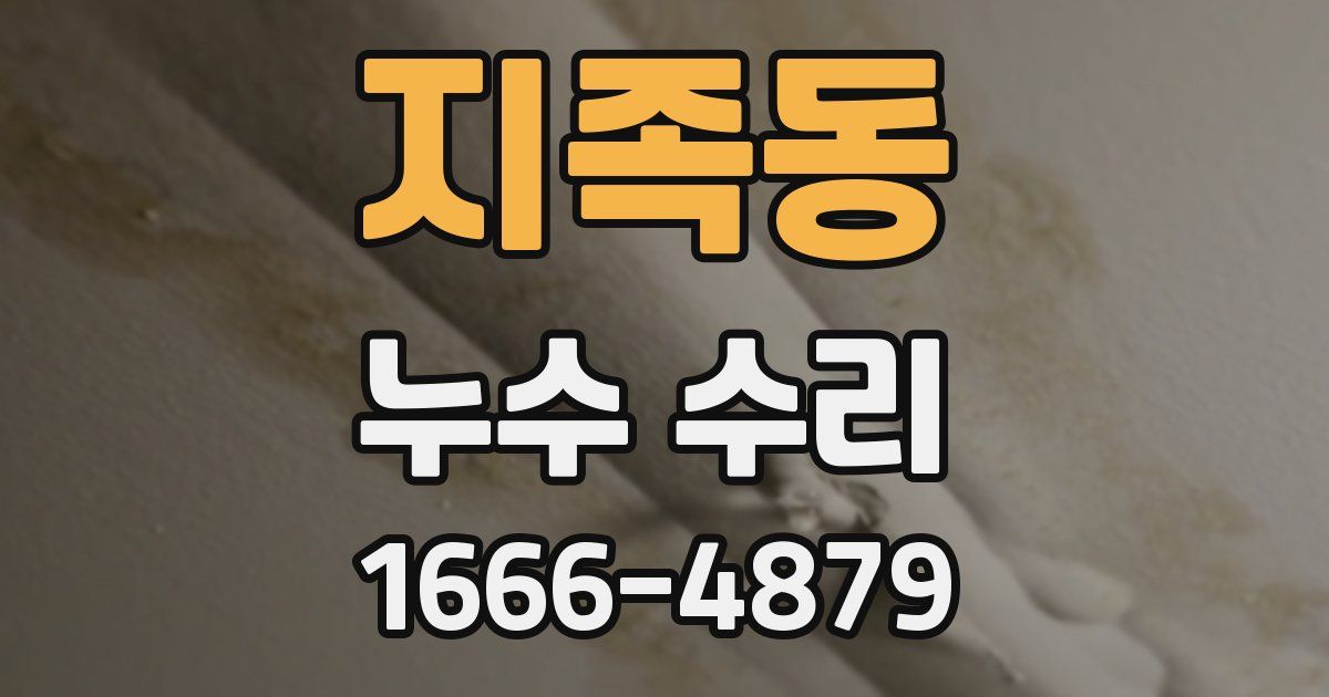 지족동 누수 수리