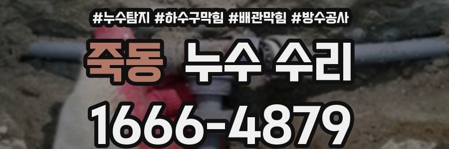 죽동 누수 수리