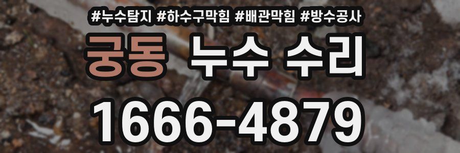 궁동 누수 수리