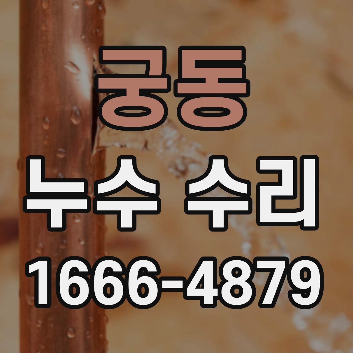 궁동 누수 수리