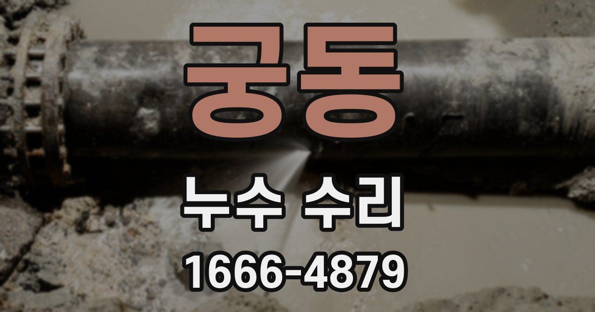 궁동 누수 수리