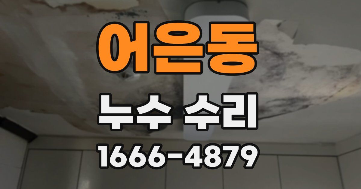 어은동 누수 수리