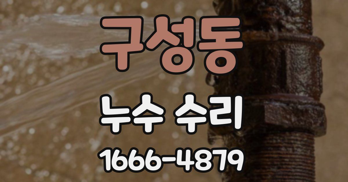 구성동 누수 수리