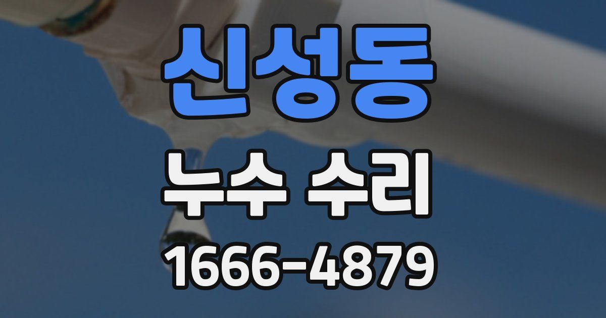 신성동 누수 수리