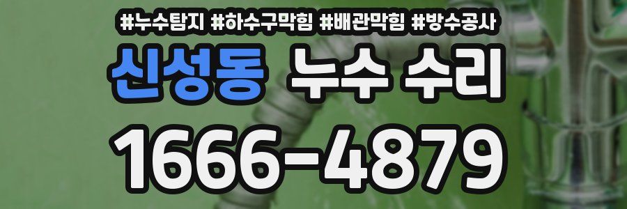 신성동 누수 수리
