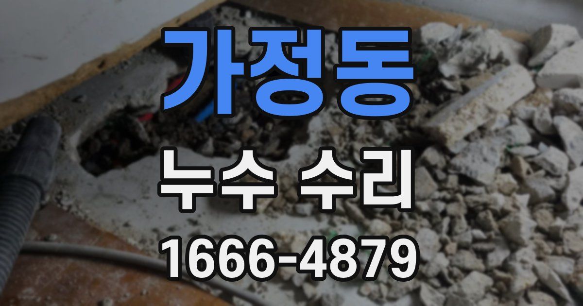 가정동 누수 수리