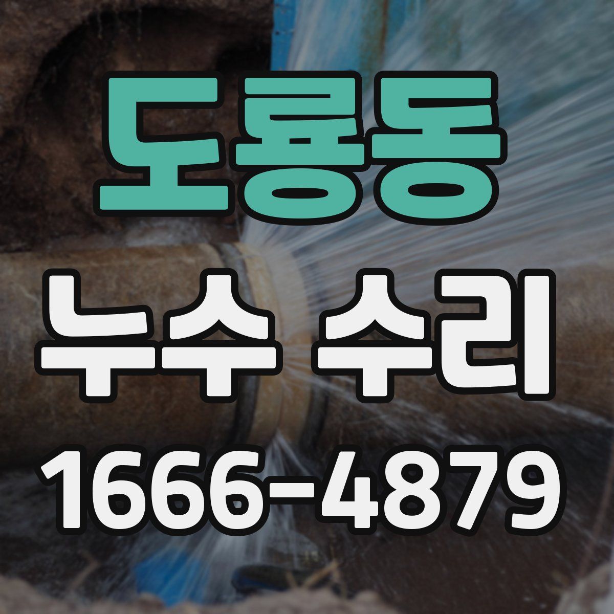 도룡동 누수 수리