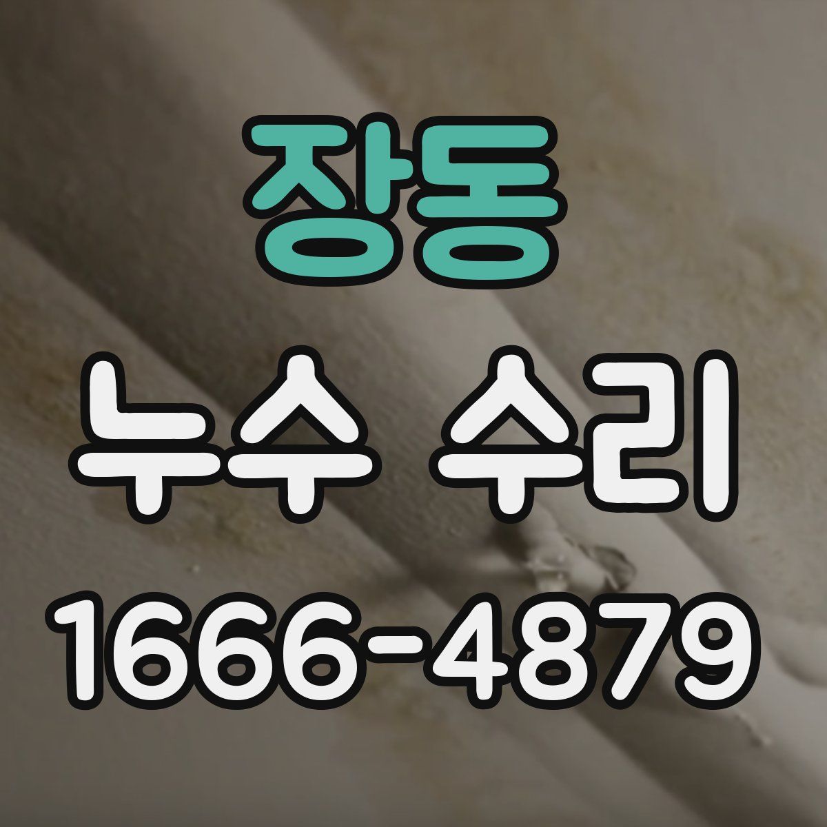 장동 누수 수리