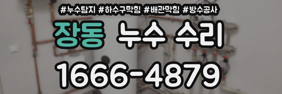 장동 누수 수리