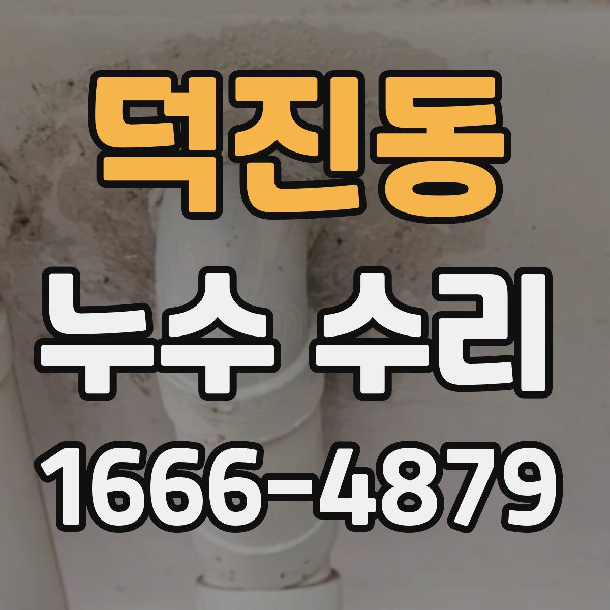 덕진동 누수 수리