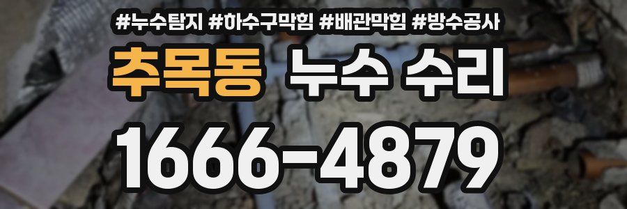 추목동 누수 수리