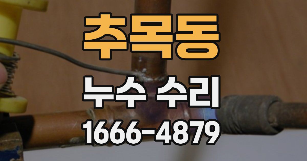 추목동 누수 수리
