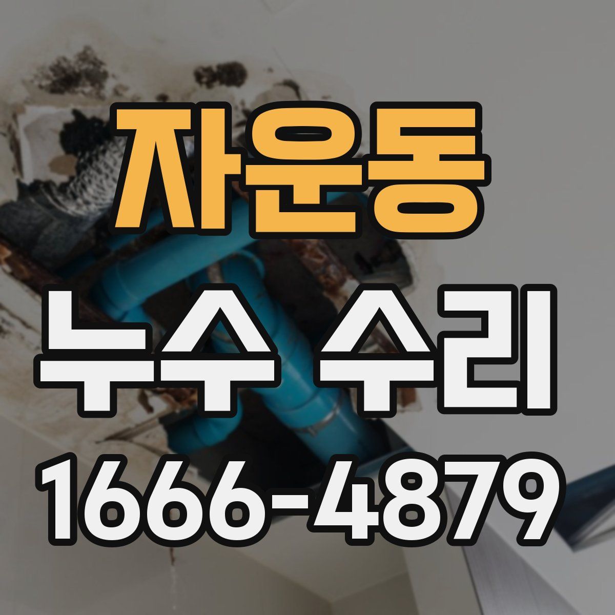 자운동 누수 수리