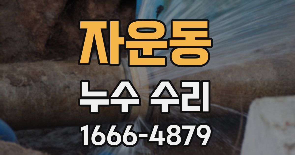 자운동 누수 수리