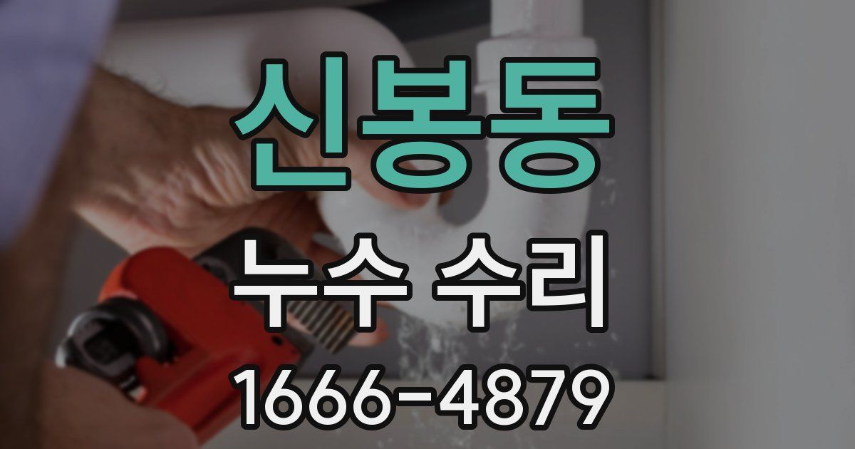 신봉동 누수 수리