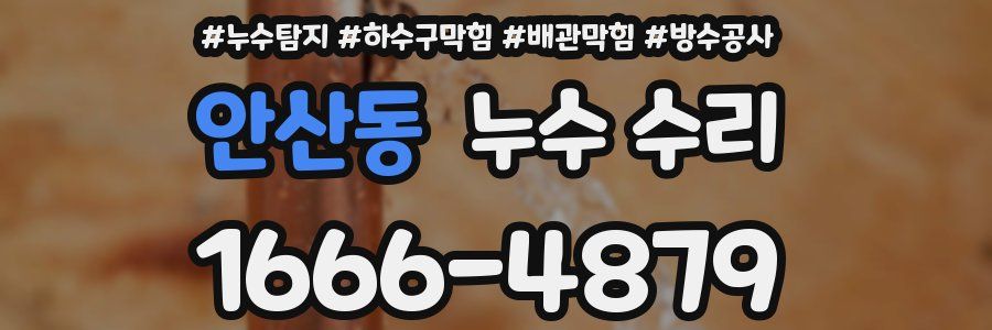 안산동 누수 수리