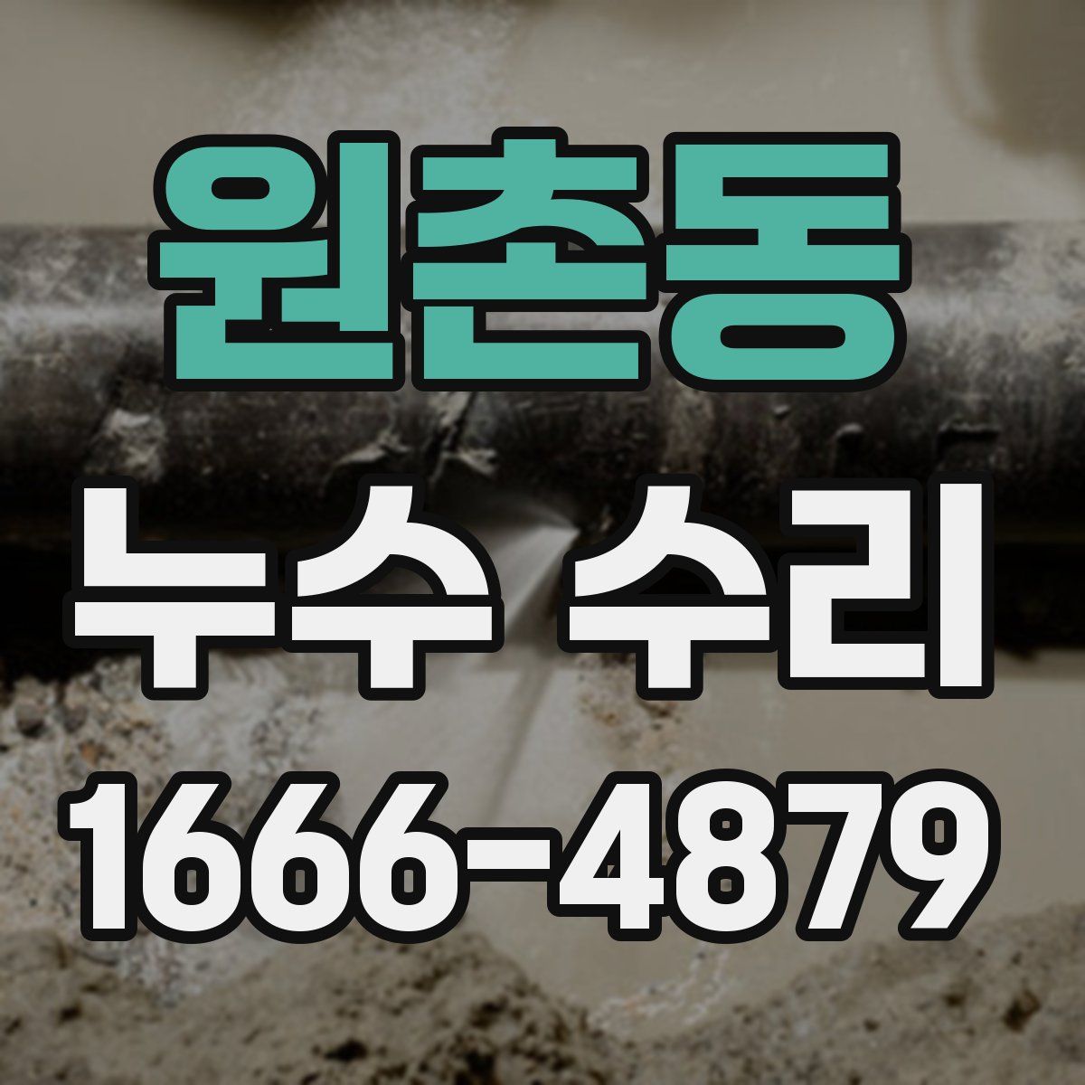 원촌동 누수 수리
