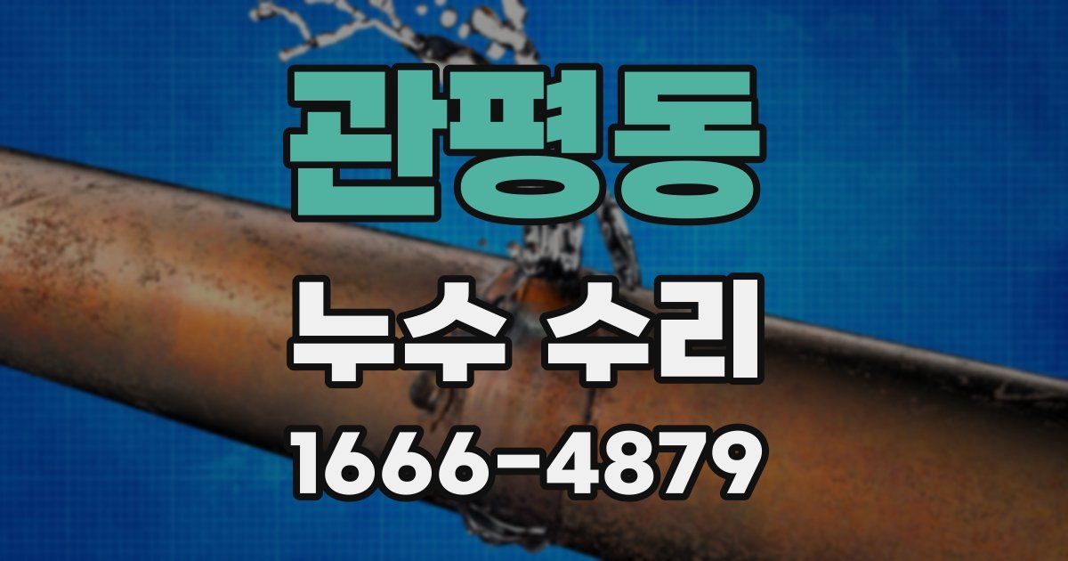 관평동 누수 수리