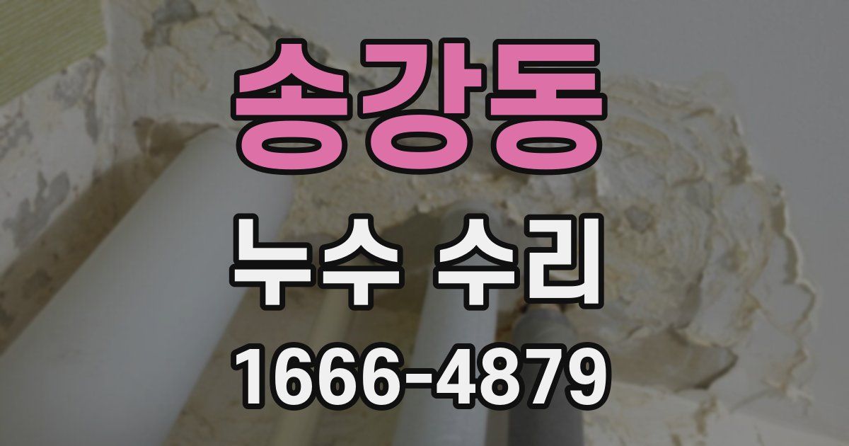 송강동 누수 수리