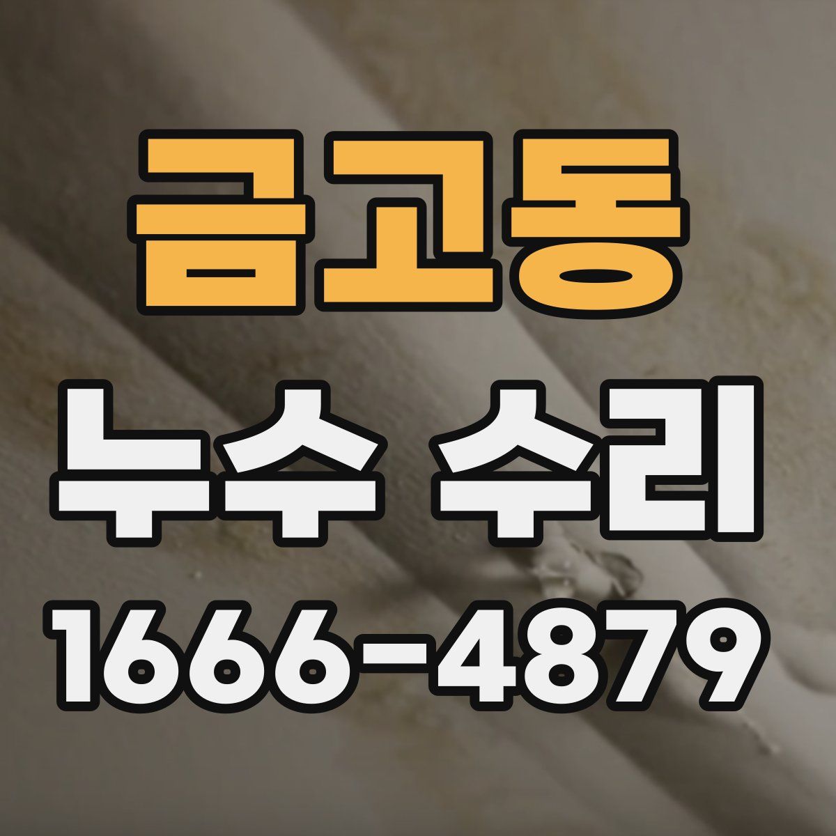 금고동 누수 수리