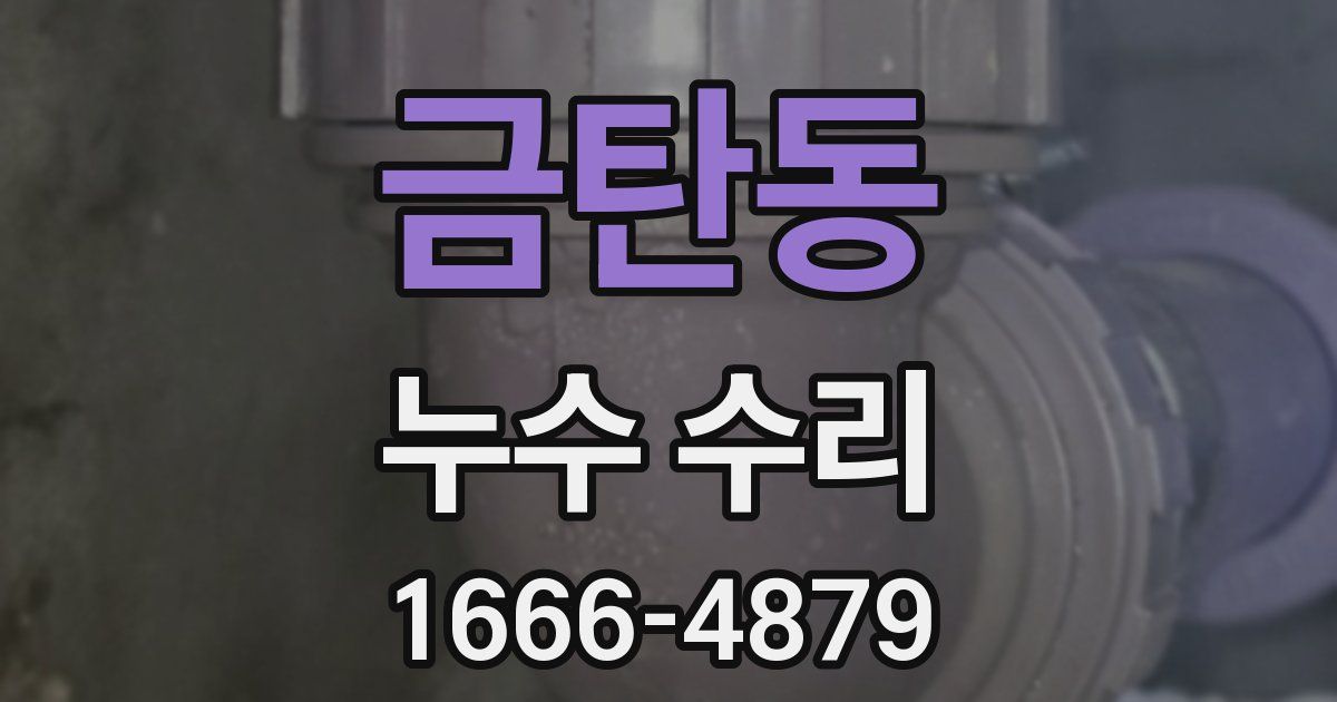 금탄동 누수 수리