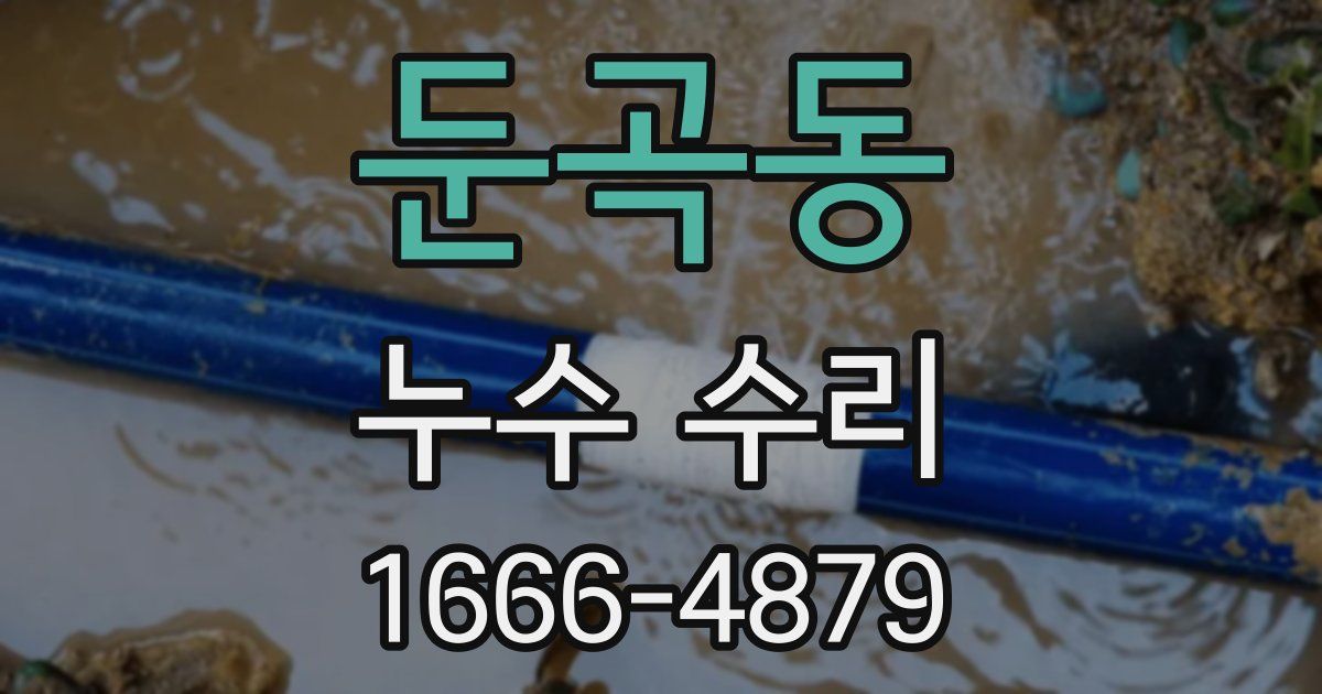 둔곡동 누수 수리
