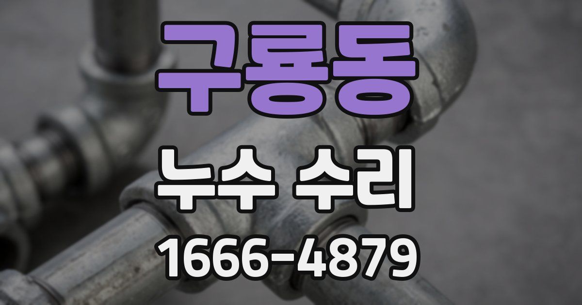 구룡동 누수 수리