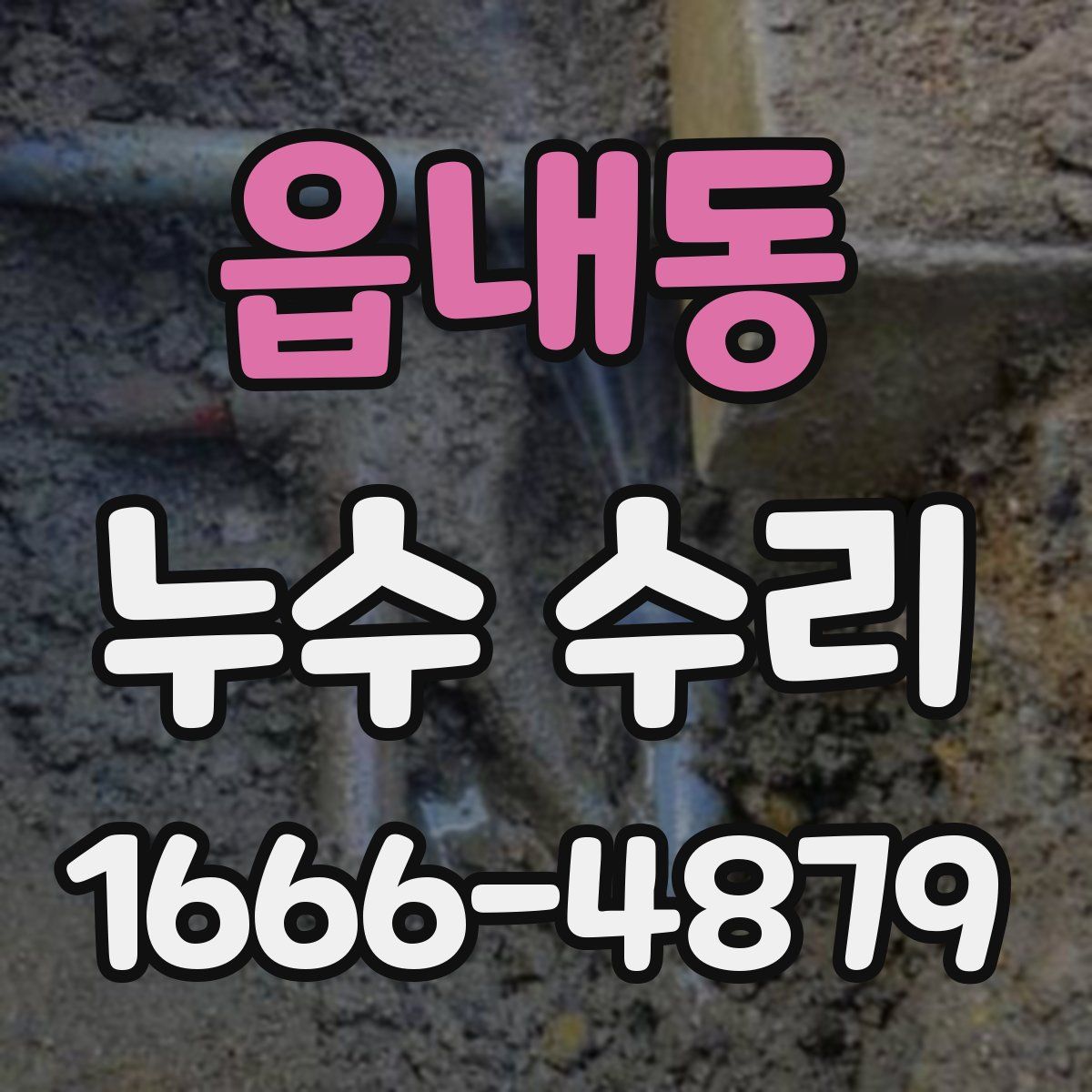 읍내동 누수 수리