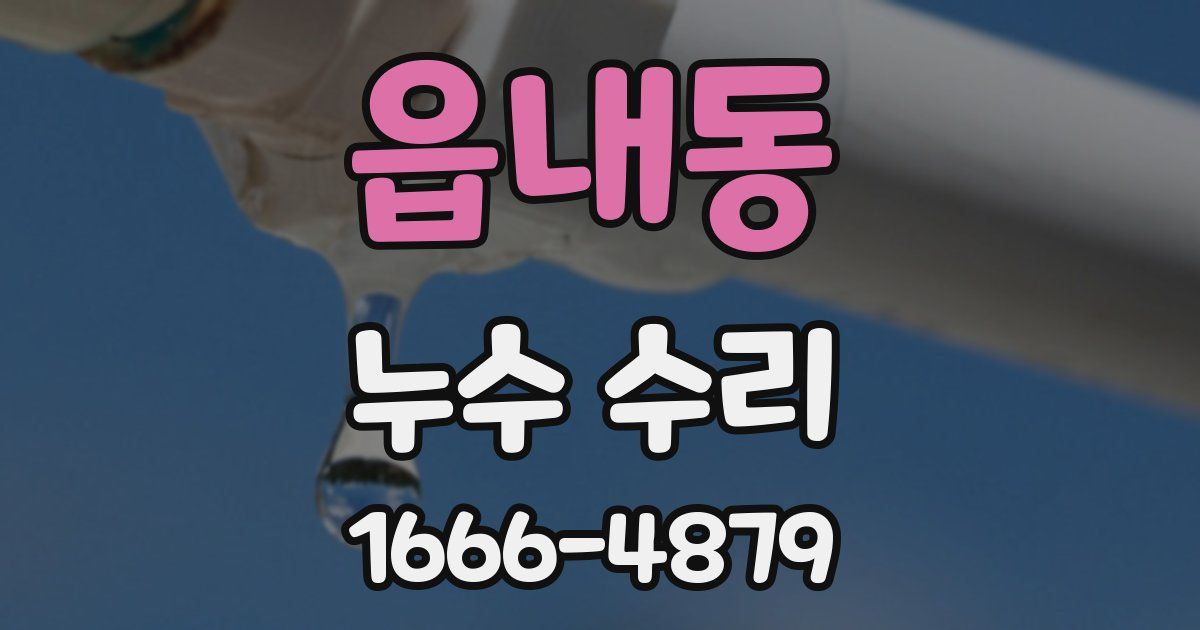 읍내동 누수 수리