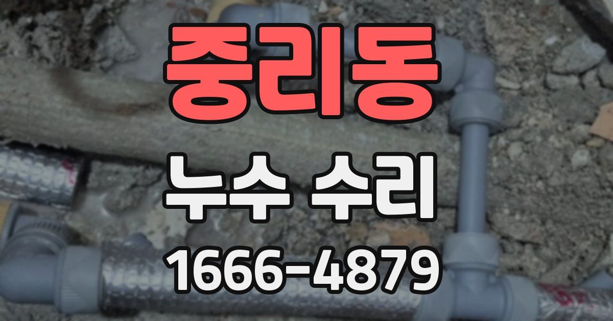중리동 누수 수리