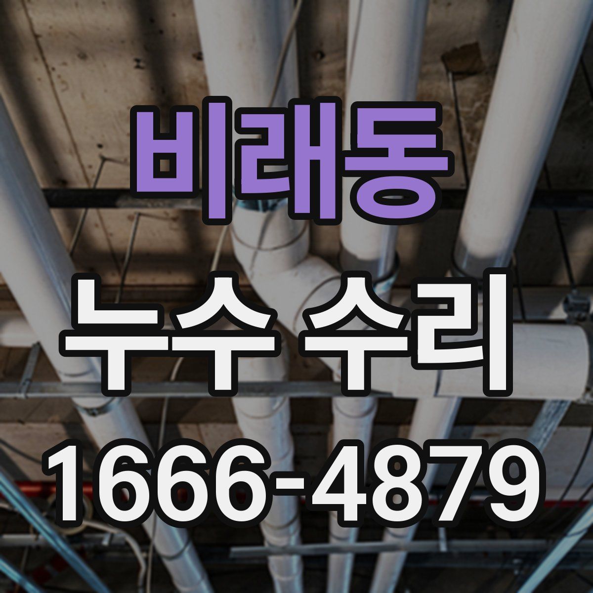 비래동 누수 수리