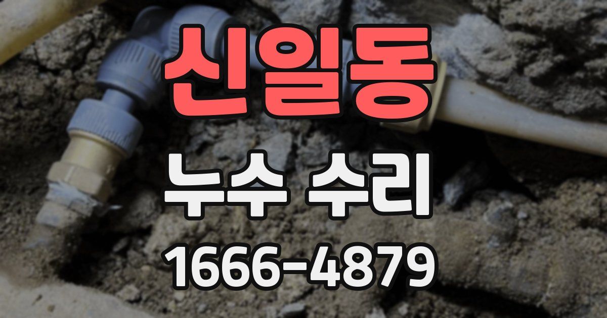 신일동 누수 수리