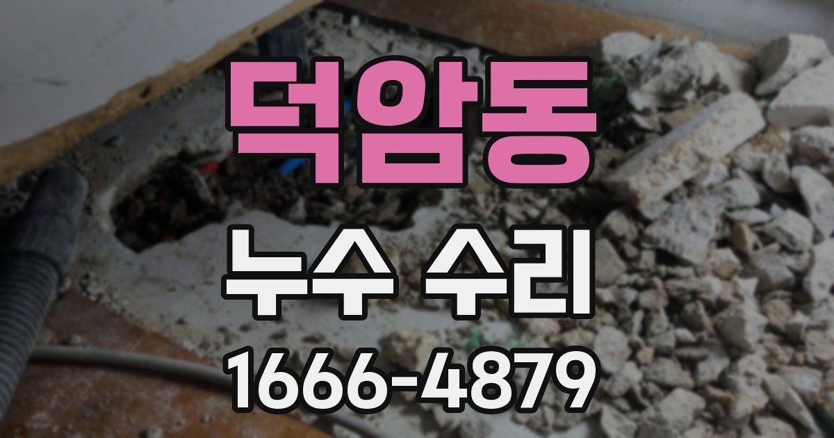 덕암동 누수 수리