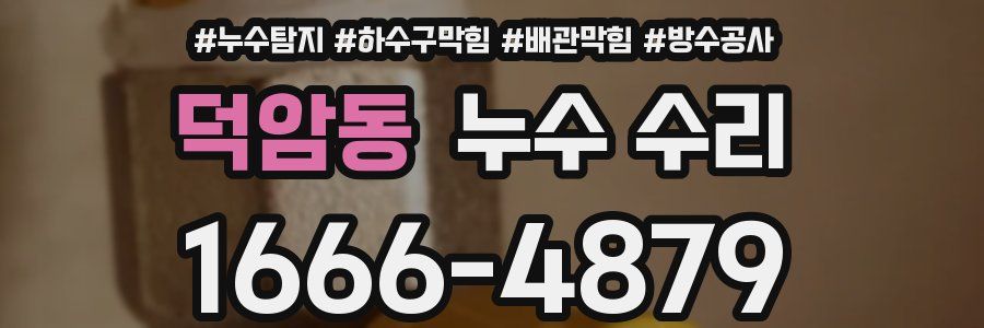 덕암동 누수 수리
