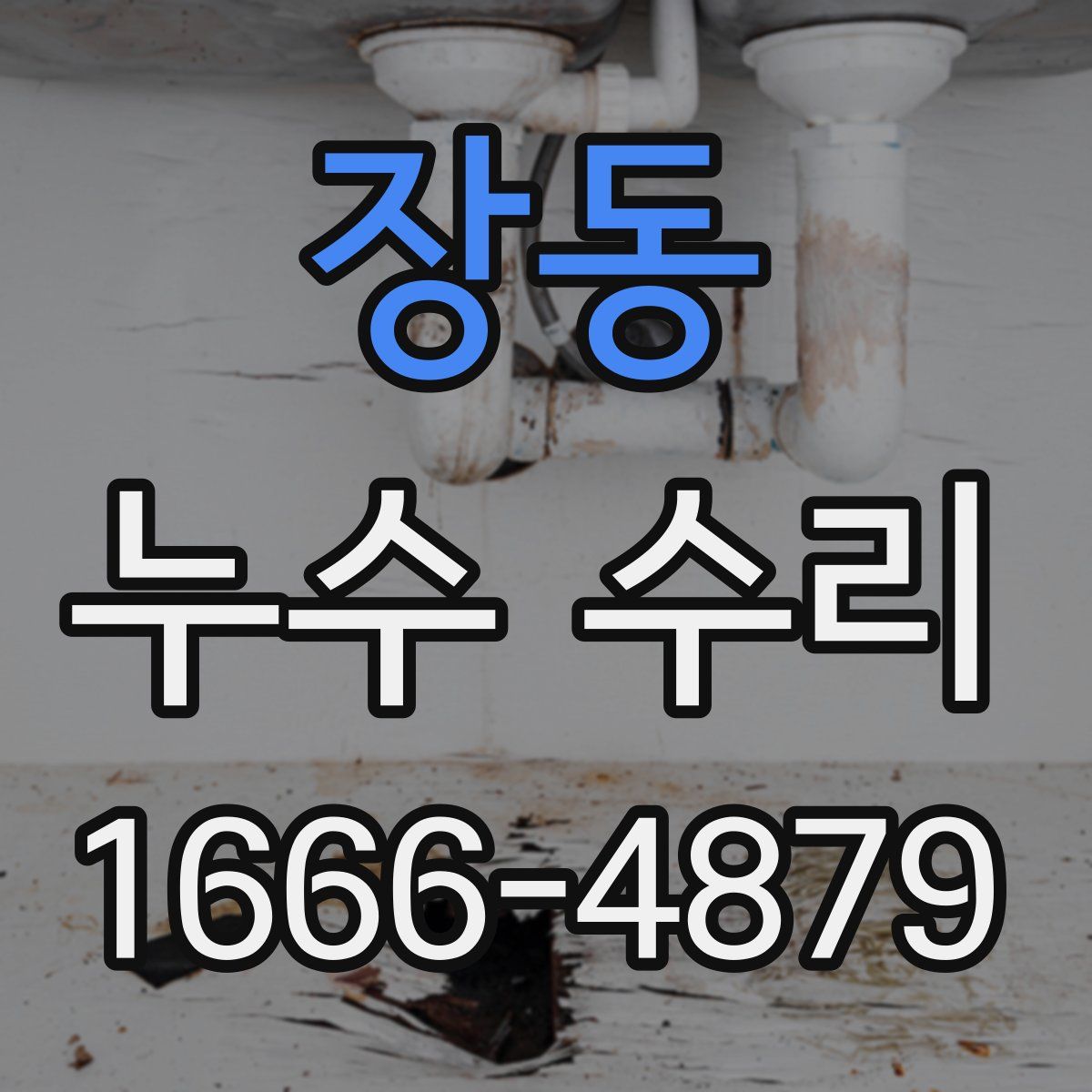 장동 누수 수리