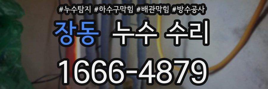 장동 누수 수리