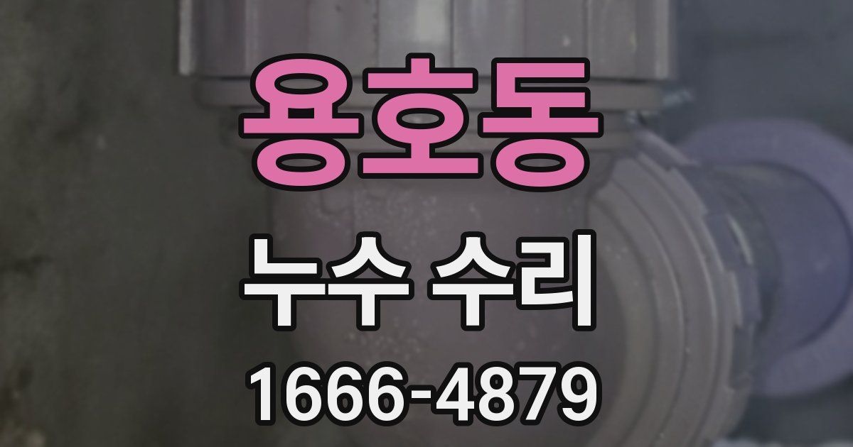 용호동 누수 수리