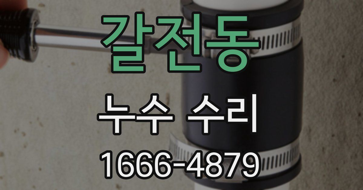갈전동 누수 수리