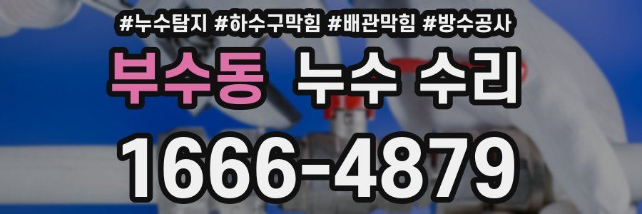 부수동 누수 수리