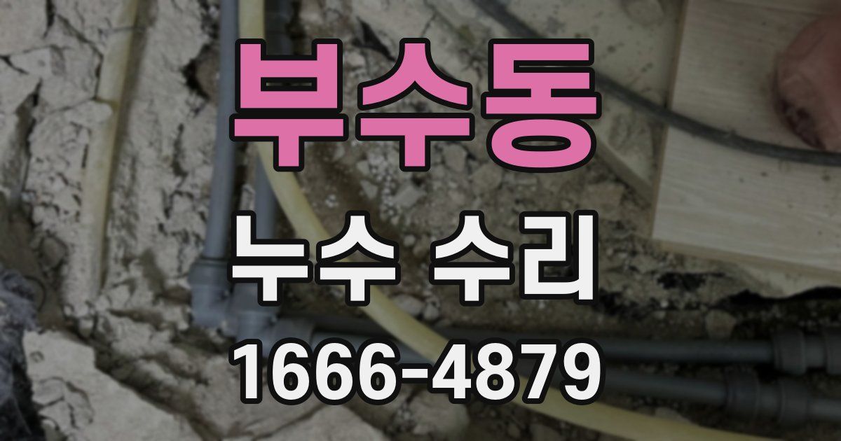 부수동 누수 수리