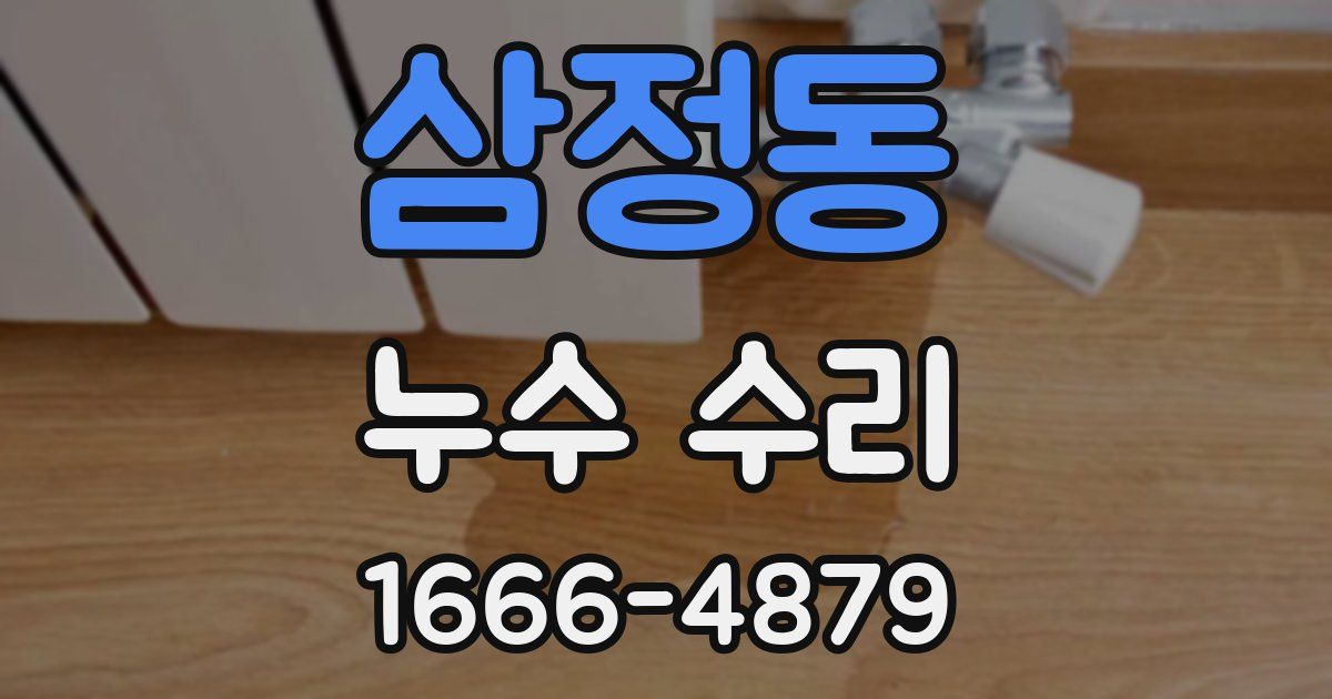 삼정동 누수 수리