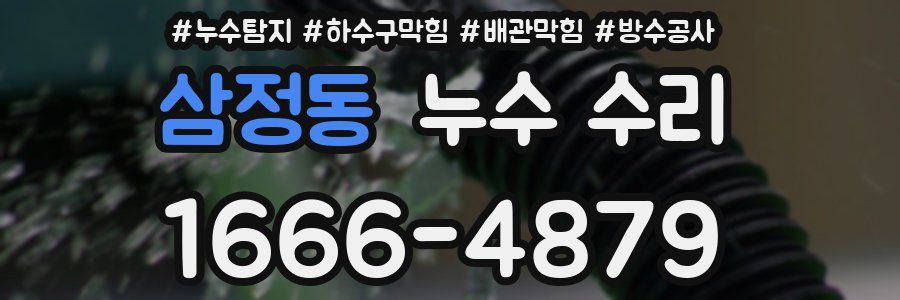삼정동 누수 수리