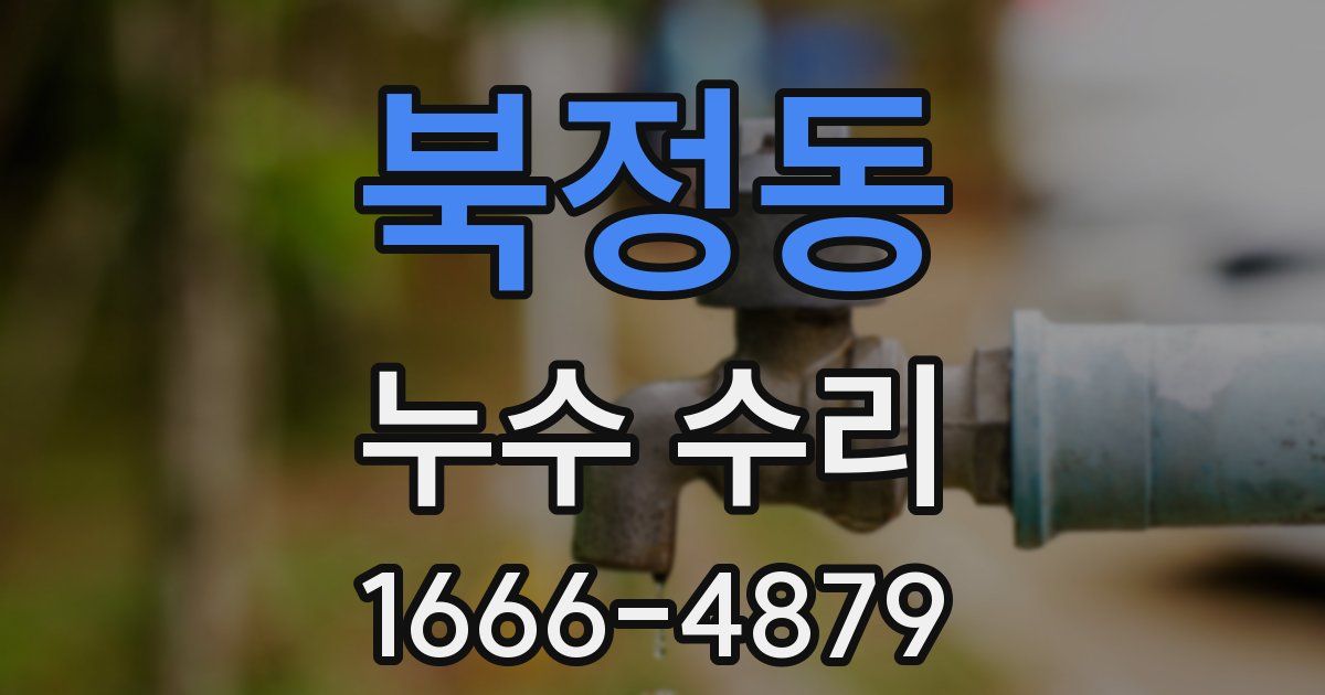 북정동 누수 수리