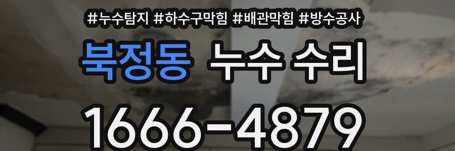 북정동 누수 수리