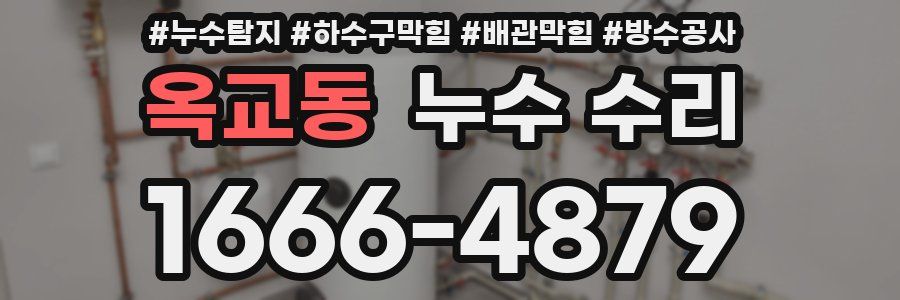 옥교동 누수 수리